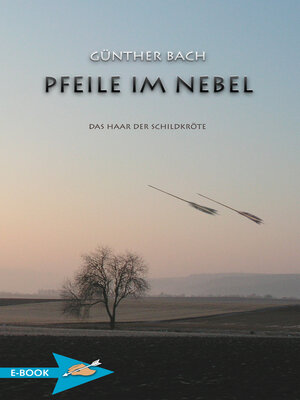 cover image of Pfeile Im Nebel
